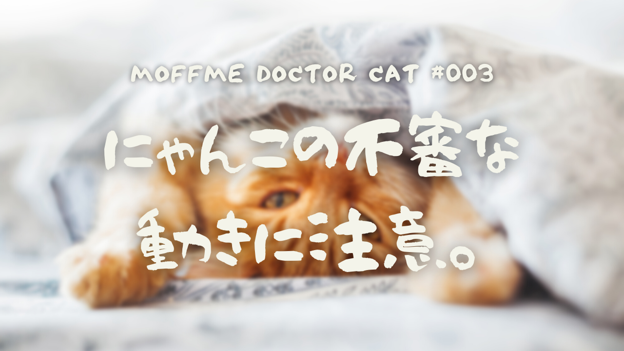 【MOFFME DOCTOR CAT】これは逆くしゃみ？実は別の可能性も。のサムネイル画像